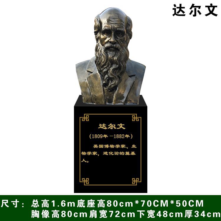 达尔文胸像科学家人物铜雕